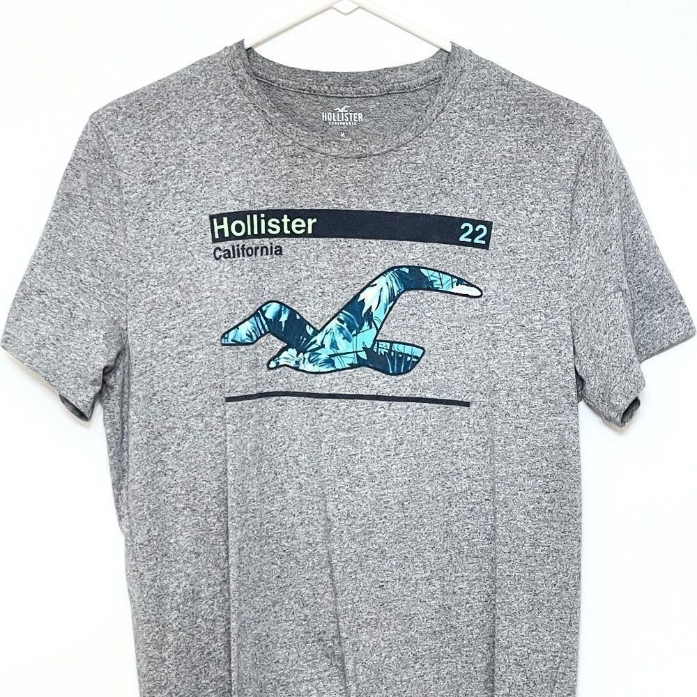 Men's Hollister Medium T-Shirt